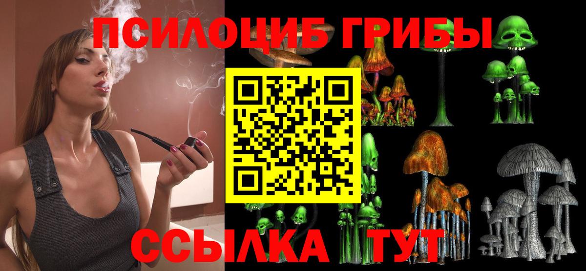 Галлюциногенные грибы мухоморы Великие Луки